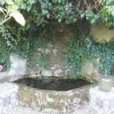 House With Private Pool, Mountain View And Wifi * Praganca