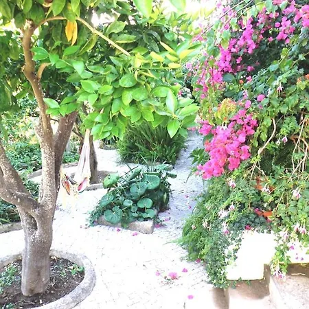 House With Private Pool, Mountain View And Wifi