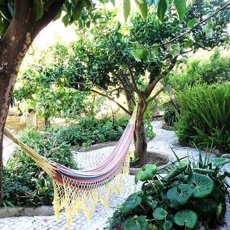 Villa House With Private Pool, Mountain View And Wifi